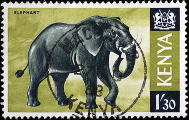 Elephant on kenyan postage stamp
