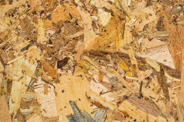 Wooden oriented strand board