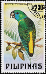 Guaiabero, philippine endemic parrot on postage stamp