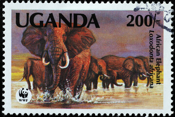 Herd of elephants on ugandan postage stamp