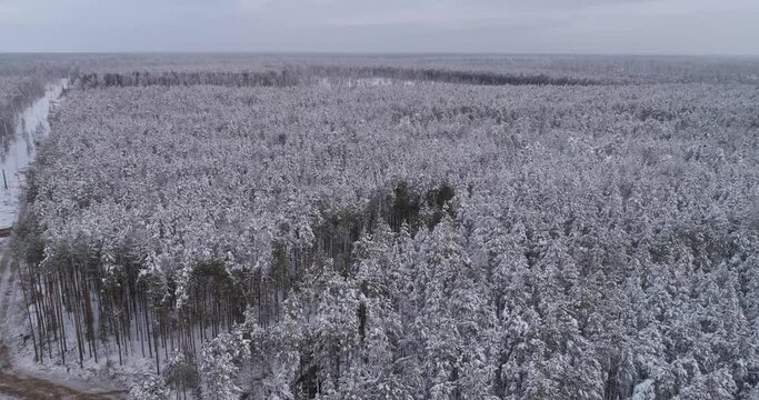 Top down Aerial view of Forest harvester and forwarder at work into the winter forest. Sunny winter day. Snow all around. Nearby sawn trees. Harvester logging a tree, Forwarder stacks tree logs
