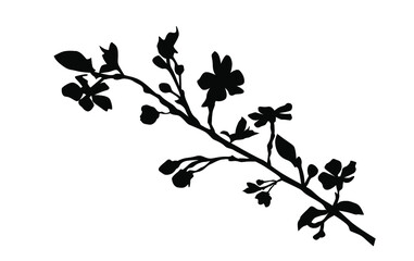 Vector silhouette of the branch of trees, with leaves, flowers, black color, isolated on white background