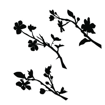 Vector silhouettes of the branch of trees, with leaves, flowers, black color, isolated on white background