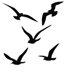 Set of vector silhouettes of seagull in flight, black color, isolated on white background