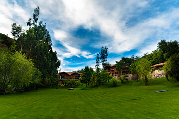 Fototapeta na wymiar garden in the park in Cusco