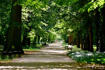 Park, Łazienki Królewskie w Warszawie, alejki spacerowe
