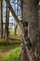 figure of Christ on the tree