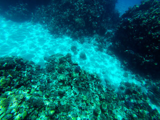 red sea
