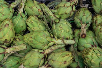 Fototapeta premium A lot of healthy artichokes in a food market