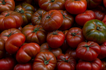 A lot of colorful and healthy tomatoes in a street market