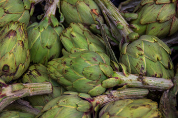 A lot of healthy artichokes in a food market