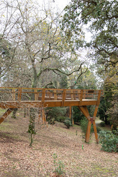 Wooden boardwalk in the park, Oporto, Portugal
