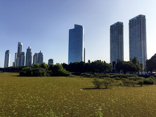 Fototapeta premium Skyline