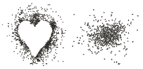 Black cumin seeds, Nigella sativa in shape heart isolated on white background, top view
