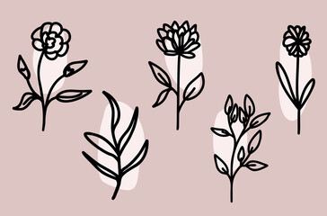 Bundle of doodled vector flowers and leaves with circles in the back and background.