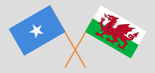 Crossed flags of Somalia and Wales. Official colors. Correct proportion
