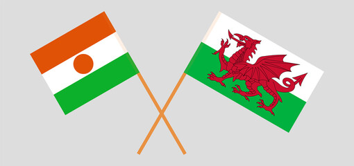 Crossed flags of the Niger and Wales. Official colors. Correct proportion