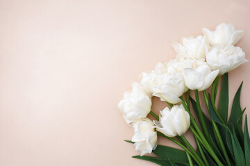 Spring blossoming tulips, springtime white flowers festive background, pastel and soft floral card, selective focus, toned