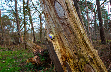 Münster-Wasserschutzgebiet-Hohe-Ward-kleiner-Smile
