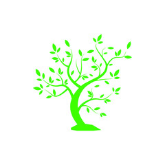 Ecological tree. Logo for the company. vector icons