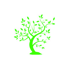 Obraz premium Ecological tree. Logo for the company. vector icons