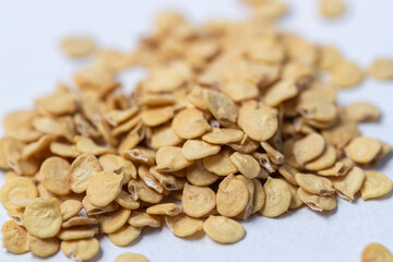seeds isolated on white background, dry sweet pepper seeds 