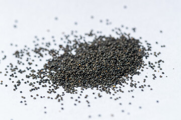 Portulaca flowers seeds on a white background