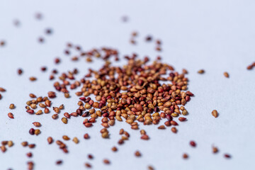 strawberry seeds on a white background