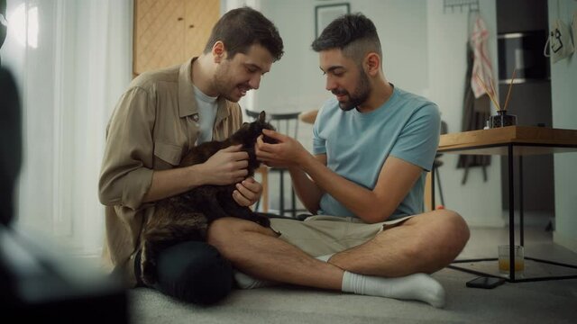 Happy Gay Couple in Love Play with Gorgeous Purebred Cat. Cheerful Young Boyfriends Spending Time together, Have Fun, Enjoy Sunny Morning at Home. 