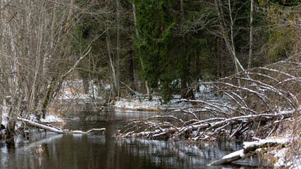 winter view of small river, winter landscape with forest river
