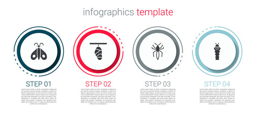 Set Butterfly, cocoon, Spider and Larva insect. Business infographic template. Vector