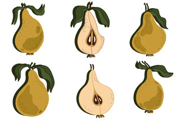 Pears with leaves, whole and chopped. Pear  isolated set pattern.