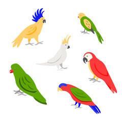 Obraz na płótnie Canvas Set of six tropic parrots on white background for prints, decoration, etc
