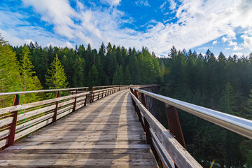 Kinsol Trestle, The Cowichan Valley, Vancouver Island, Vancouver, British Columbia, Canada