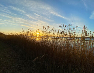 Fototapeta premium Landschaft Foto mit Sonnenuntergang in der Provinz Zeeland Niederlande