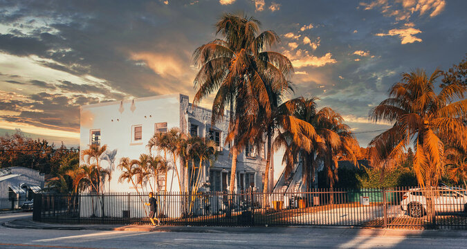 sunset in the city tropical palms Miami Florida usa building nature sun road street 