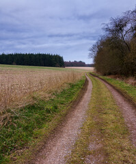 Fototapeta na wymiar a scenic winding track through woodlands and fileds, North Wessex Downs, AONB 