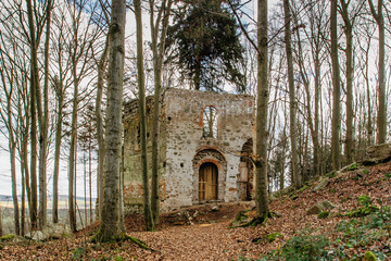 Ruins of Chapel of Saint Mary Magdalene on the hill of Maly Blanik, central Bohemia, Czech Republic.Pilgrimage place with great spruce growing within chapel walls is called Monk.Czech nature reserve