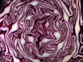 Obraz premium close up of a sliced red cabbage showing layers of densely packed leaves