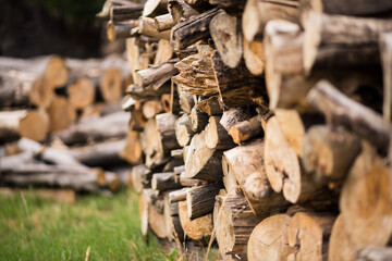 Wood Pile