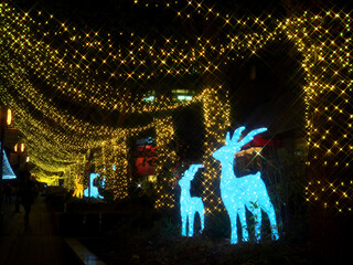 Tokyo,Japan-January 4, 2021: Beautiful Christmas illumination in Tokyo
