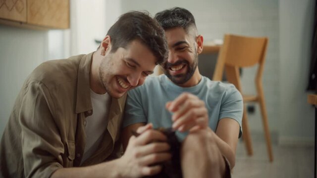 Happy Gay Couple in Love Play with Gorgeous Purebred Cat. Cheerful Young Boyfriends Spending Time together, Have Fun, Enjoy Sunny Morning at Home. 
