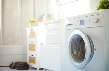 Fototapeta na wymiar Wonderful design idea for domestic stylish bathroom interior with washing machine in light tones