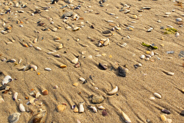 Fototapeta na wymiar Abstract lines of sandy sunny summer beach with shells on Black sea coast holiday travel concept