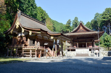 Fototapeta premium 日吉大社 樹下神社本殿と東本宮拝殿 滋賀県大津市坂本