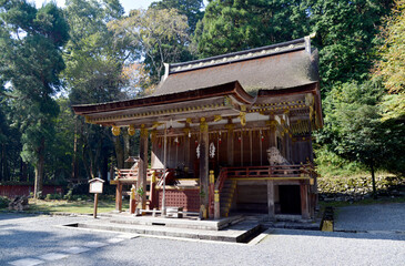 Fototapeta premium 日吉大社 樹下神社本殿 滋賀県大津市坂本