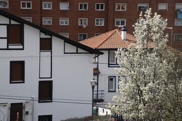 View of Bilbao from a hill