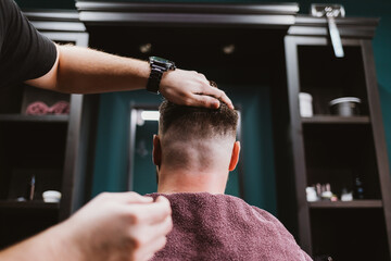 Professional barber examines his work