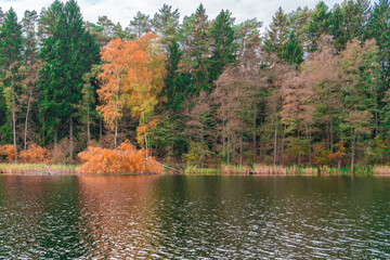 Jezioro i las jesienią