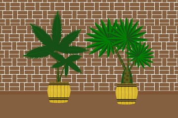 Several palms in barrels against the background of a brown brick wall. Ready-made illustration for printing on fabric and paper